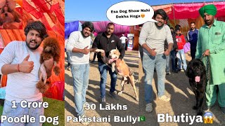 INTERNATIONAL DOG SHOW😱🤙🏽| India’s Biggest Pet Show ( Pakistani Bully, Expensive Husky, Bhutiya )