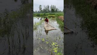 Fast Running Push Net Fish Catching#fishing