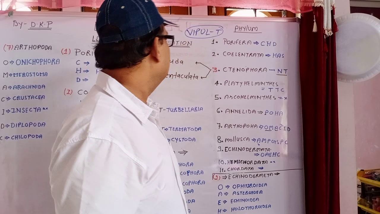 Tips Of Learning Classification In Hindi YouTube