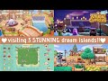 Exploring 3 INSANE Animal Crossing Islands !! ♡