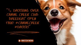 'Drooling over Canine Creek Club: Breeders' Open Talk! #CanineCreek #Drools' by SPOTLIGHT தமிழ் 51 views 3 months ago 4 minutes