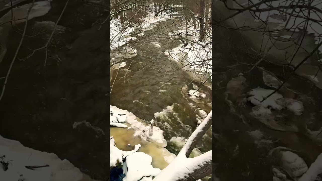 Единственный и неповторимый! #outfishontario 🫡