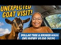 Unexpected Goat Visit! 🐐 Dollar Tree &amp; Kroger Shopping Orders 😄💸 Delivery Vlog 2025