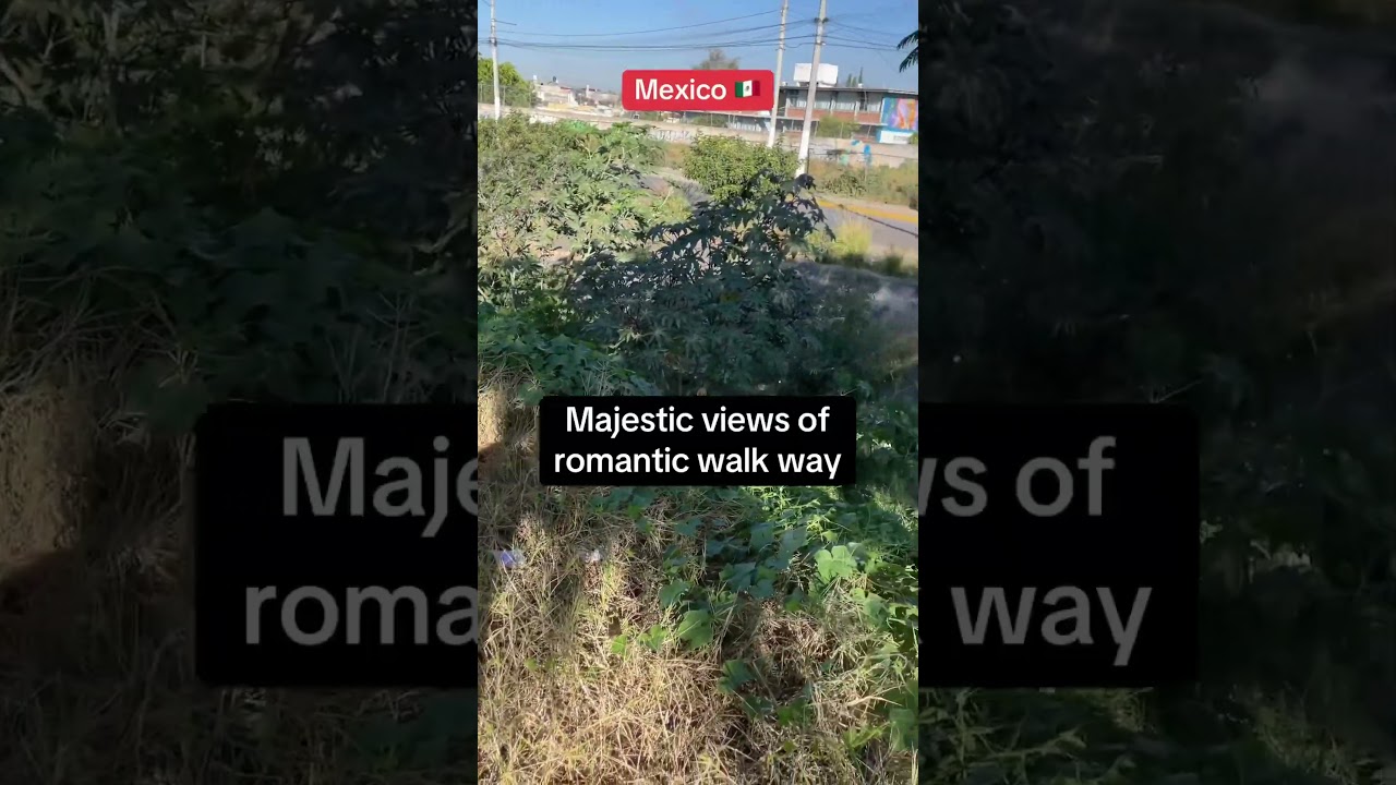 Romantic walkway in Jalisco 🇲🇽