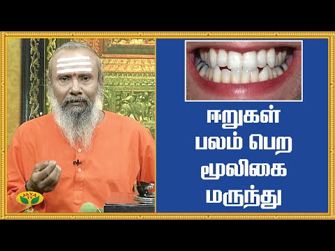 ஈறுகள் பலம் பெற மூலிகை மருந்து | Healthy Teeths | ParamPariya Maruthuvam | JayaTV