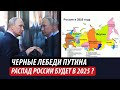 Черные лебеди Путина. Распад России будет в 2025 году?