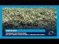Yahingiraga 1000 Frw ku munsi, ubu afite imirima 6 n’amashyamba 2 | Ubuhamya bwa Noheli #KaziNiKazi