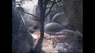 Yanni ~ Nican (In Your Heart )