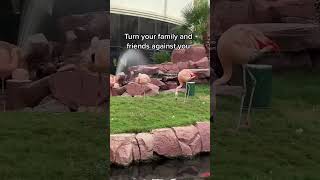 Bible Quotes || Best Bible quotes for motivation || Daily Bible quotes