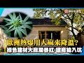 歐洲熱爆竟用大麻來降溫？新創綠色建材「大麻屋」暴紅 建商搶入坑！｜#寰宇新聞 @globalnewstw