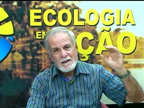 Recursos Humanos com ênfase em Contabilidade Estatística e Gerenciamento de Pessoas