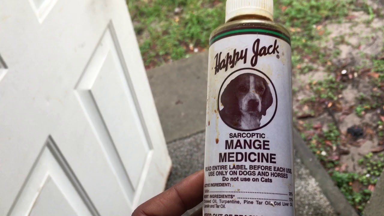 happy jack sarcoptic mange medicine