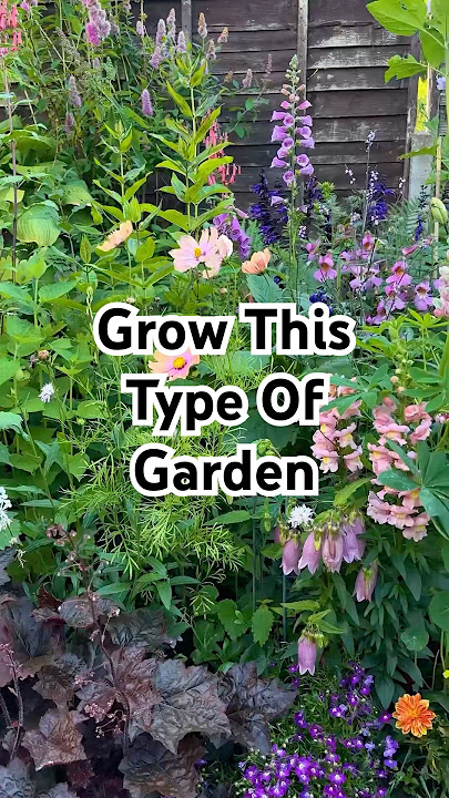 Growing a cottage garden! 🌼