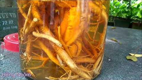 Vlog 276 - Ngâm rượu đinh lăng phần 2