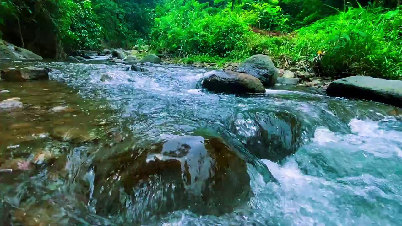 ЗАСНЁТЕ ЗА 3 МИНУТЫ! 🌊 Кристально Чистый Ручей в Тропическом Лесу