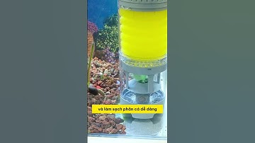 Giải Pháp Tuyệt Vời Cho Bể Cá: Bộ Lọc Đa Năng 6 Trong 1! 🐟💧 #notashopvn #tuanaquarium