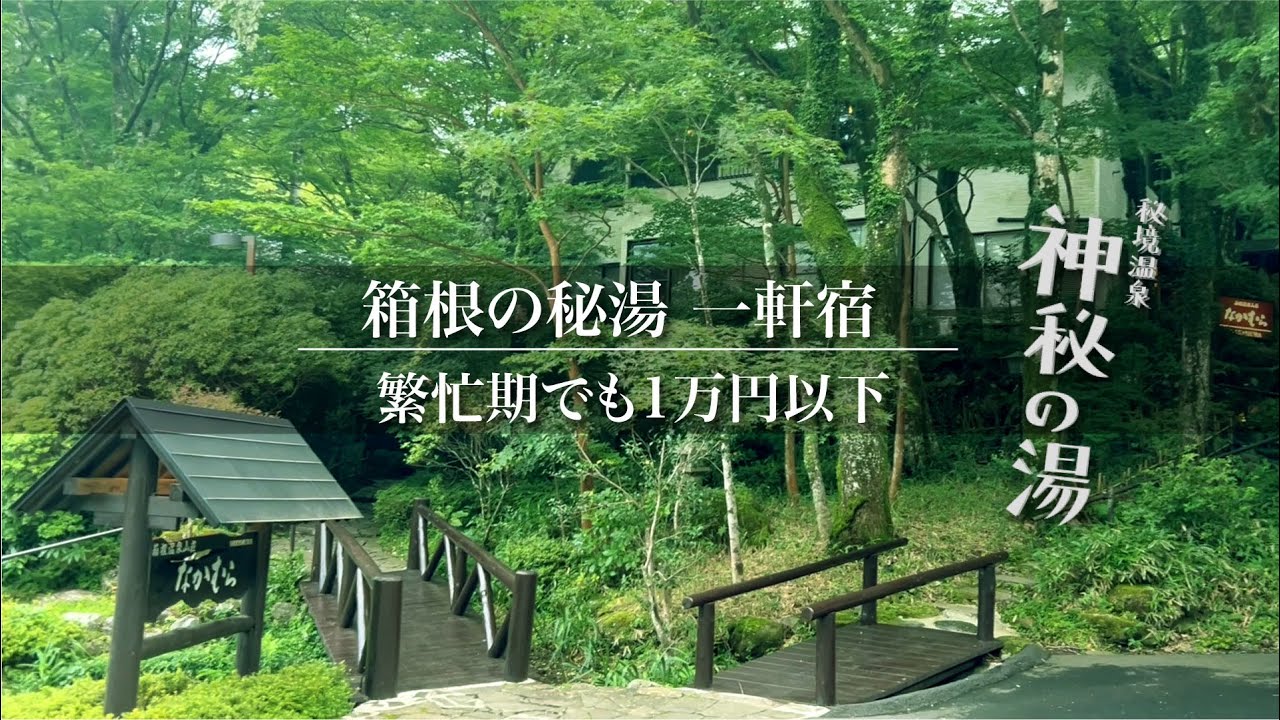 【箱根温泉の秘湯🌿】繁忙期でも1万円以下で宿泊できる旅館と日帰り貸切温泉
