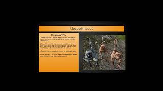 Why You Should Tame a Mesopithecus #arksurvival