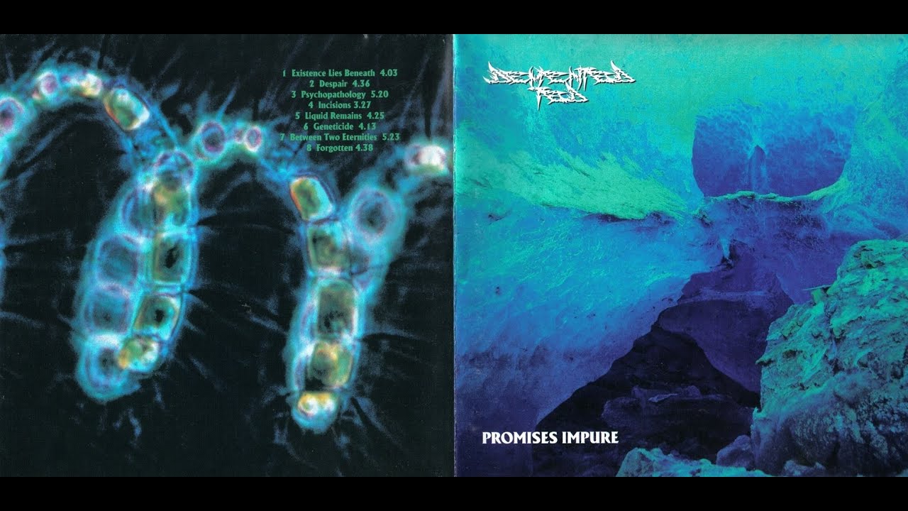 Demented Ted - Promises Impure (1993) full album