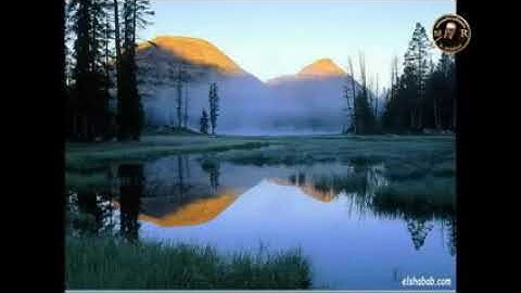 مقطع نادر للشيخ عبد الباسط عبد الصمد لسورة القيامة