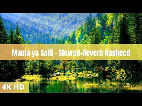 Maula ya Salli - Muza (Slowed+Reverb) Arabic Nasheed || Beautiful Nature With Islamic Relaxing Music