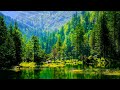 Maula ya Salli - Muza (Slowed+Reverb) Arabic Nasheed || Beautiful Nature With Islamic Relaxing Music Mp3 Song