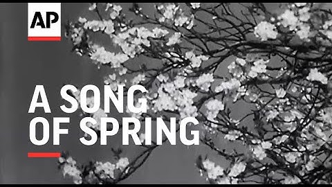 A Song of Spring - 1946 | The Archivist Presents | #344