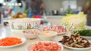 【米的一生】EP.4 割稻飯 ｜友米友田