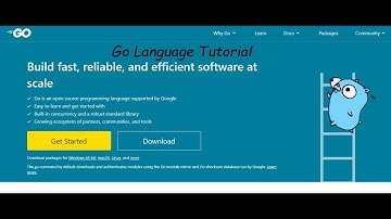 Golang Tutorial #11  - Interfaces
