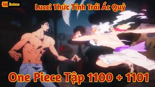 [Lù Rì Viu] One Piece Tập 1100 - 1101 Báo Lucci Thức Tĩnh Zoan Vs Luffy ||Review one piece anime