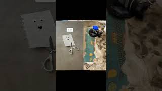 Celebrity Endless Rock-Paper-Scissors Payback Loop! Profile