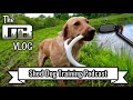 Shed hunting dog training w the gun dog it yourself podcast  ep 167