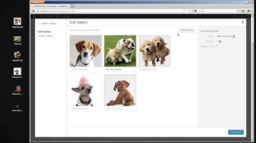 Create Image Galleries in WP 3.5