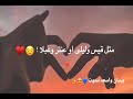 قصة قيس وليلى ☺️احلى مقاطع حب قصيره 😘💞 حالات رومانسية - قصص حب حالات واتس اب 2022