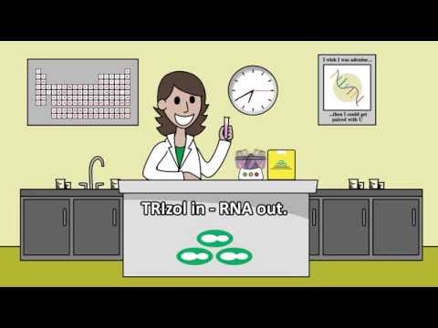 Go from TRIzol to RNA in 7 minutes with Direct-zol™