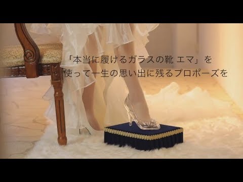 ミスで生まれた ガラスの靴 シンデレラの靴は皮製だった