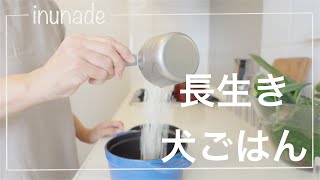 獣医師考案の長生き犬ごはん、手作り犬食、秋ごはんを作ってみた。【VLOG的】