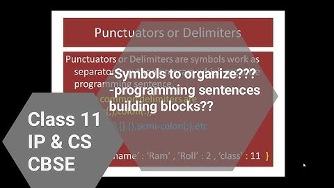 Punctuators and Delimiters || Class 11 IP and CS CBSE