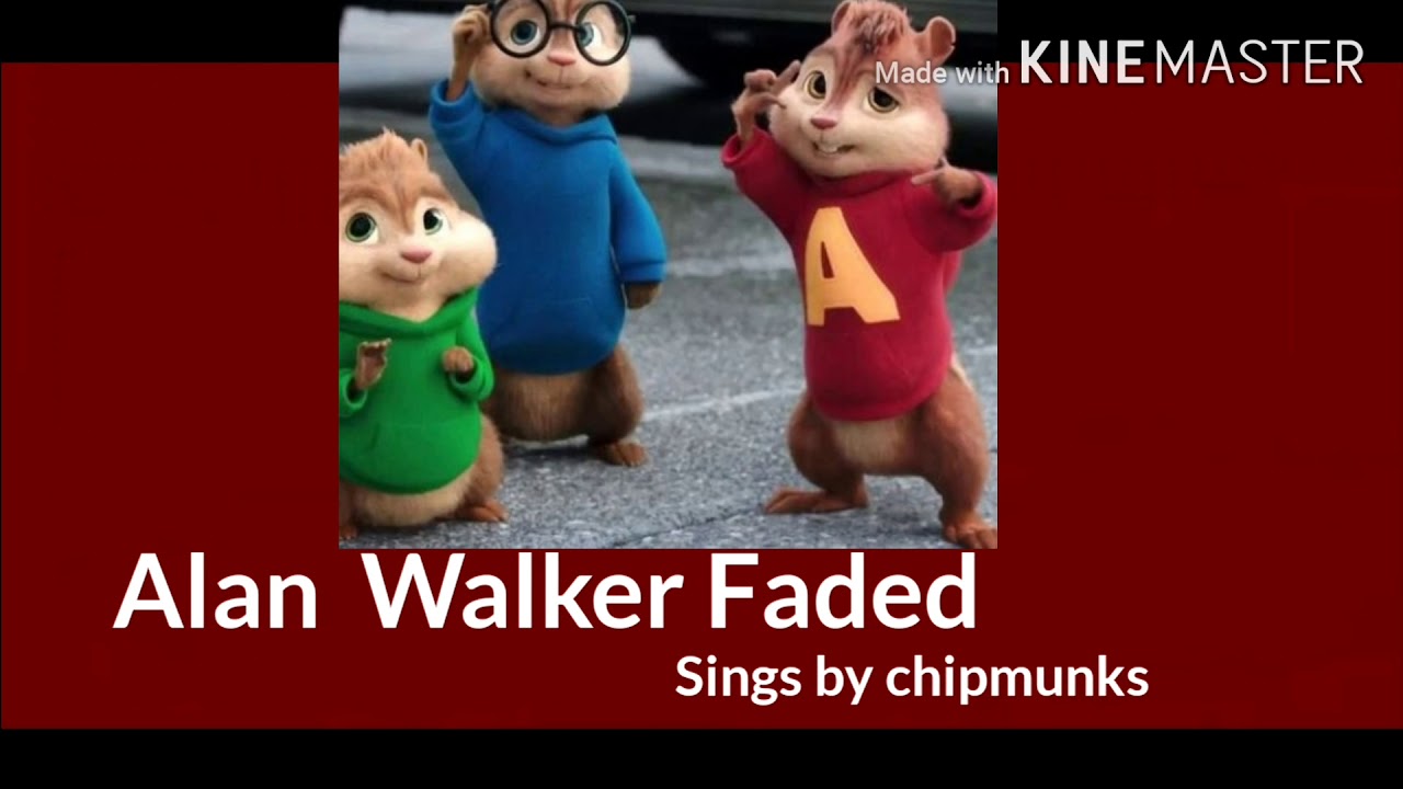 Chipmunk Fading Alan Walker Faded sings by chipmunks - YouTube