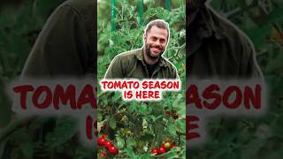 Eating The Tomatoes You Said Wouldn't Grow