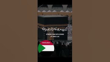 سورة الفيل . #quran #دويتو #tefa #اكسبلور #ترند