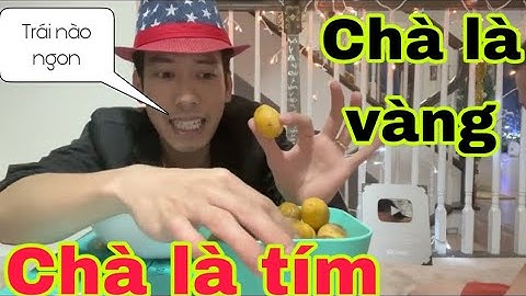 Ăn Thử Trái Chà Là Vàng và tím❤️ trái nào ngon ngọt có mắc hơn Việt nam không