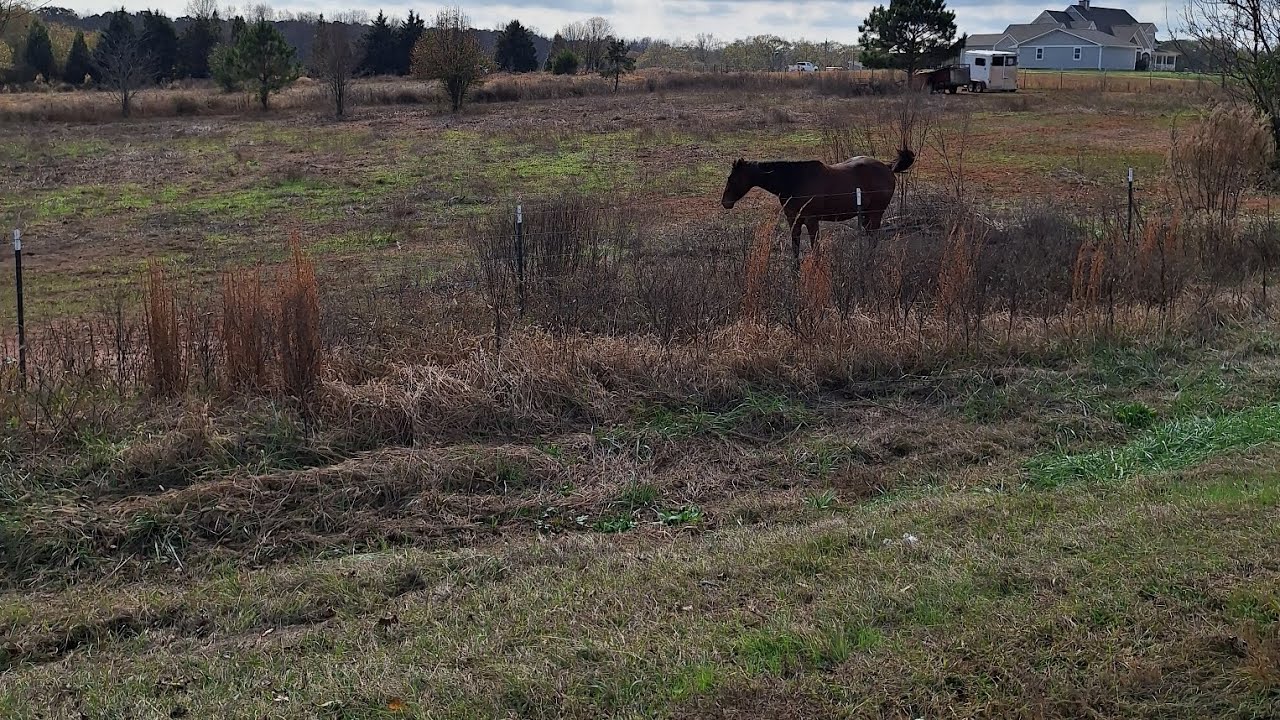 2026 / Bless Them Lord