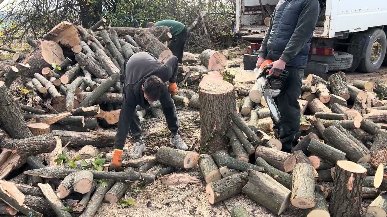 Такі дрова можна і не рубати😁😁😁