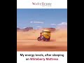 SUPERCHARGED - WHITEBERRY MATTRESS #luxury #mattress #comfort #sleepquality #whiteberry_mattresses