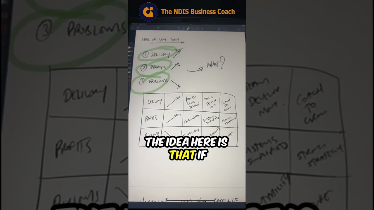 PROFITABLE NDIS BUSINESS BUILDER & SERVICE PROVIDER - IMPROVING SERVICE DELIVERY 