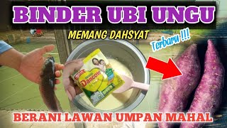 UMPAN IKAN MAS PALING JITU DENGAN MENGGUNAKAN BINDER UBI UNGU 🔴 DIJAMIN STRIKE