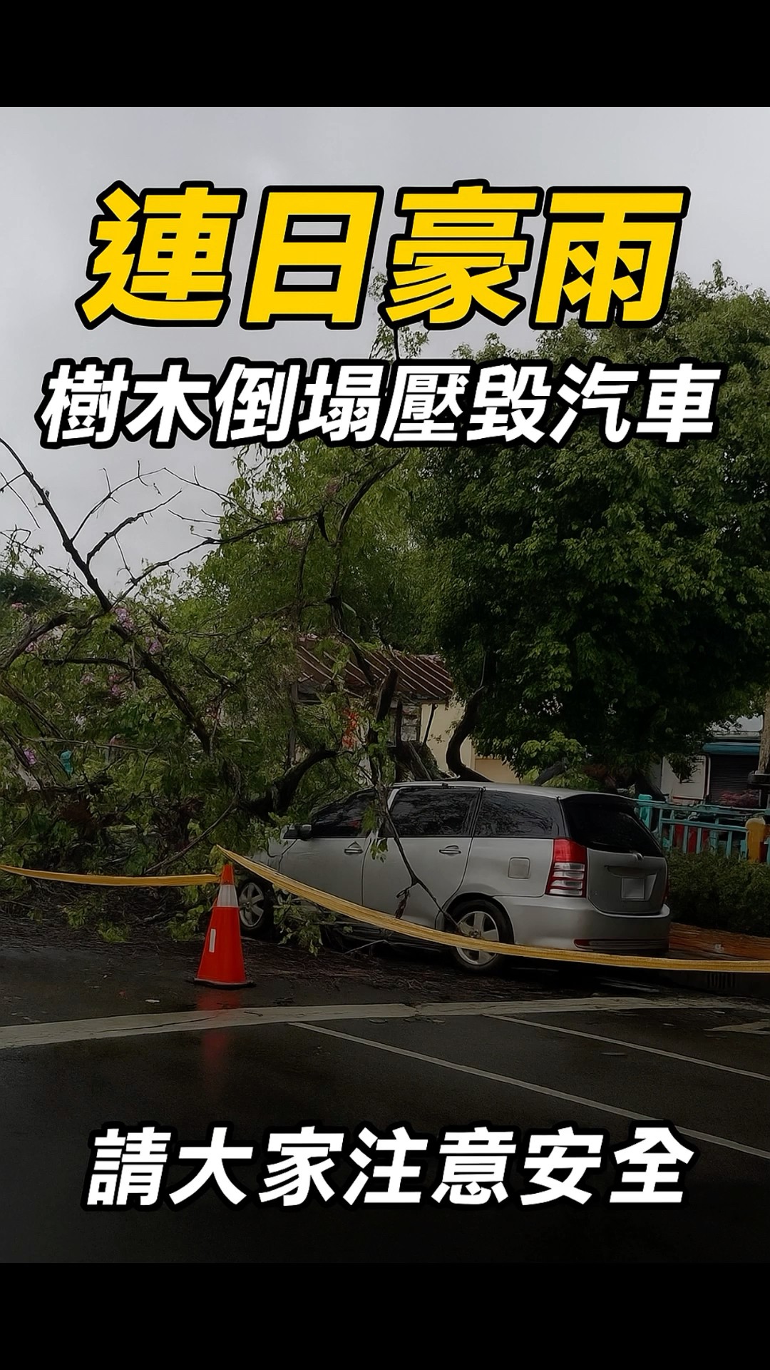 Re: [新聞] 逢甲碩一生被樹壓死搶救畫面曝　頭臉及骨