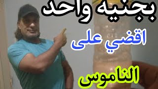 وصفه سهله للقضاء على الناموس