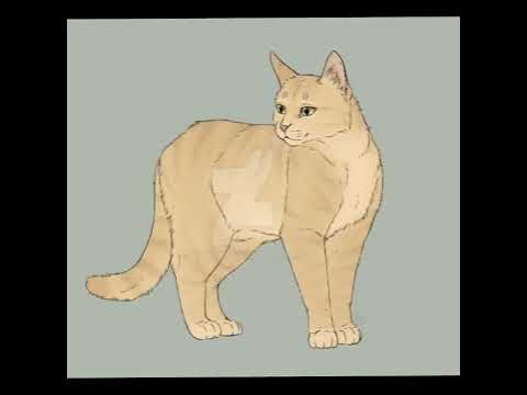 Коты воители заказ эдит Песчаная Буря,Огнезвёзд,Белохвост,Звездоцап ...